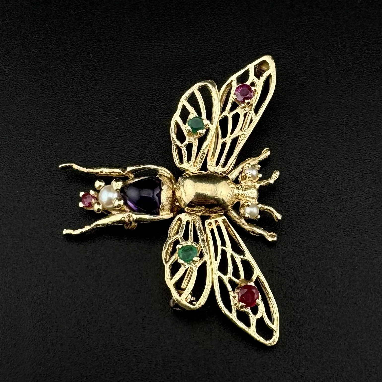 INSECT3.jpeg