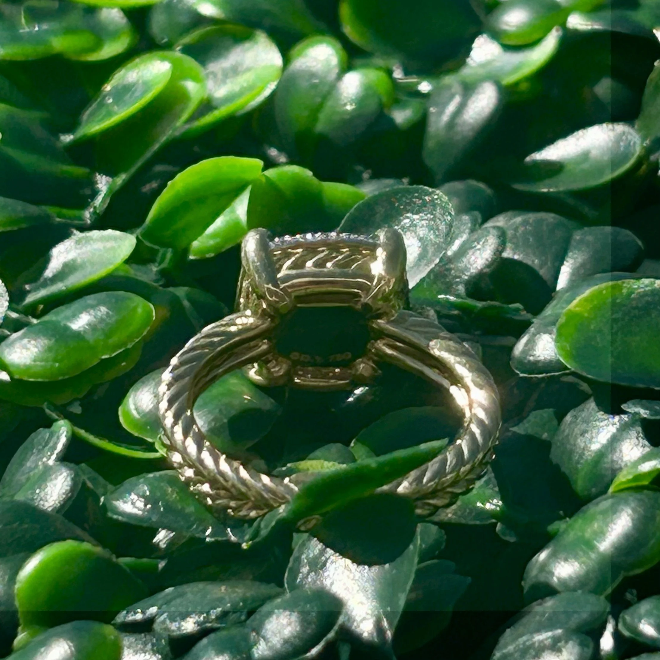 RING 2OO.jpeg