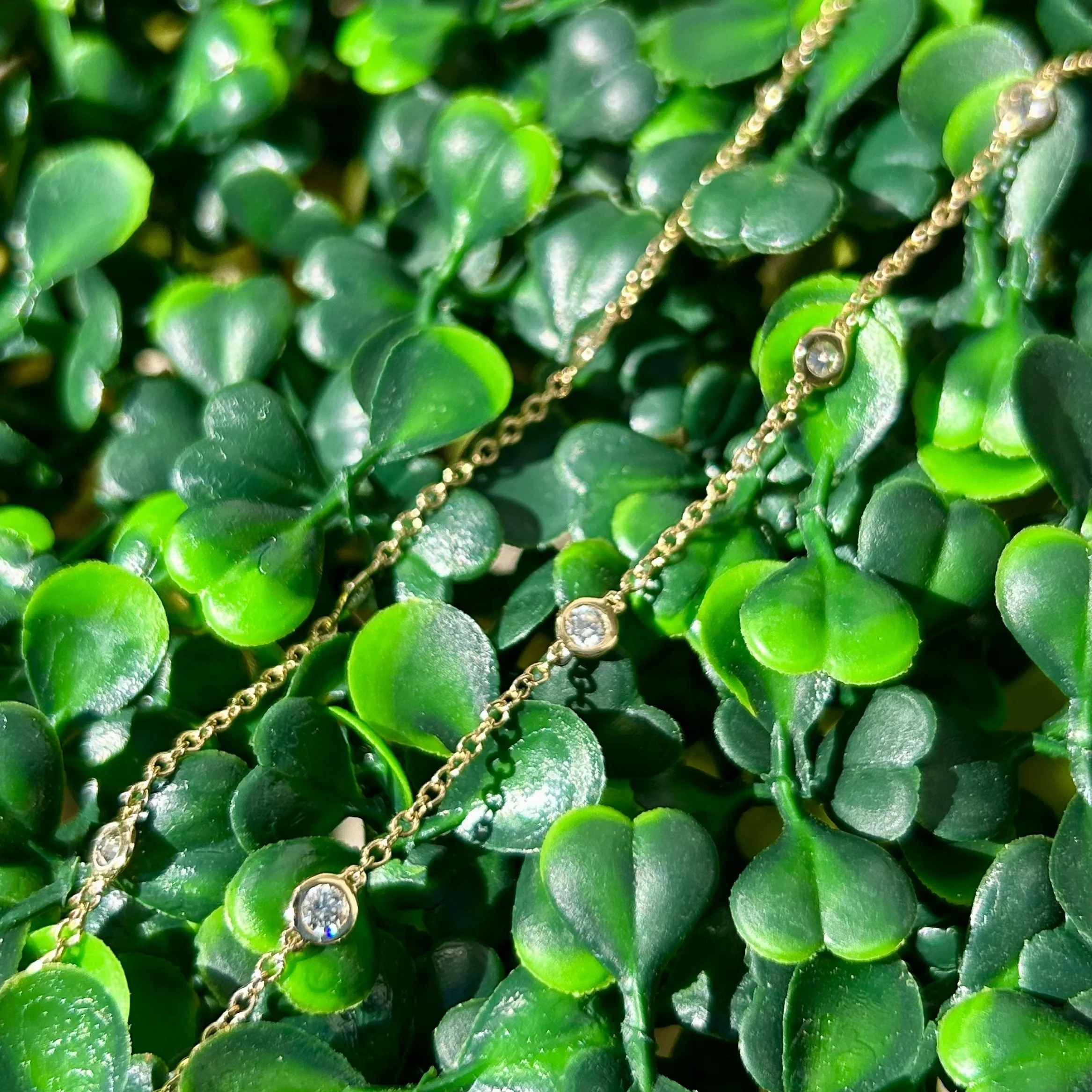 small circles 6.jpeg