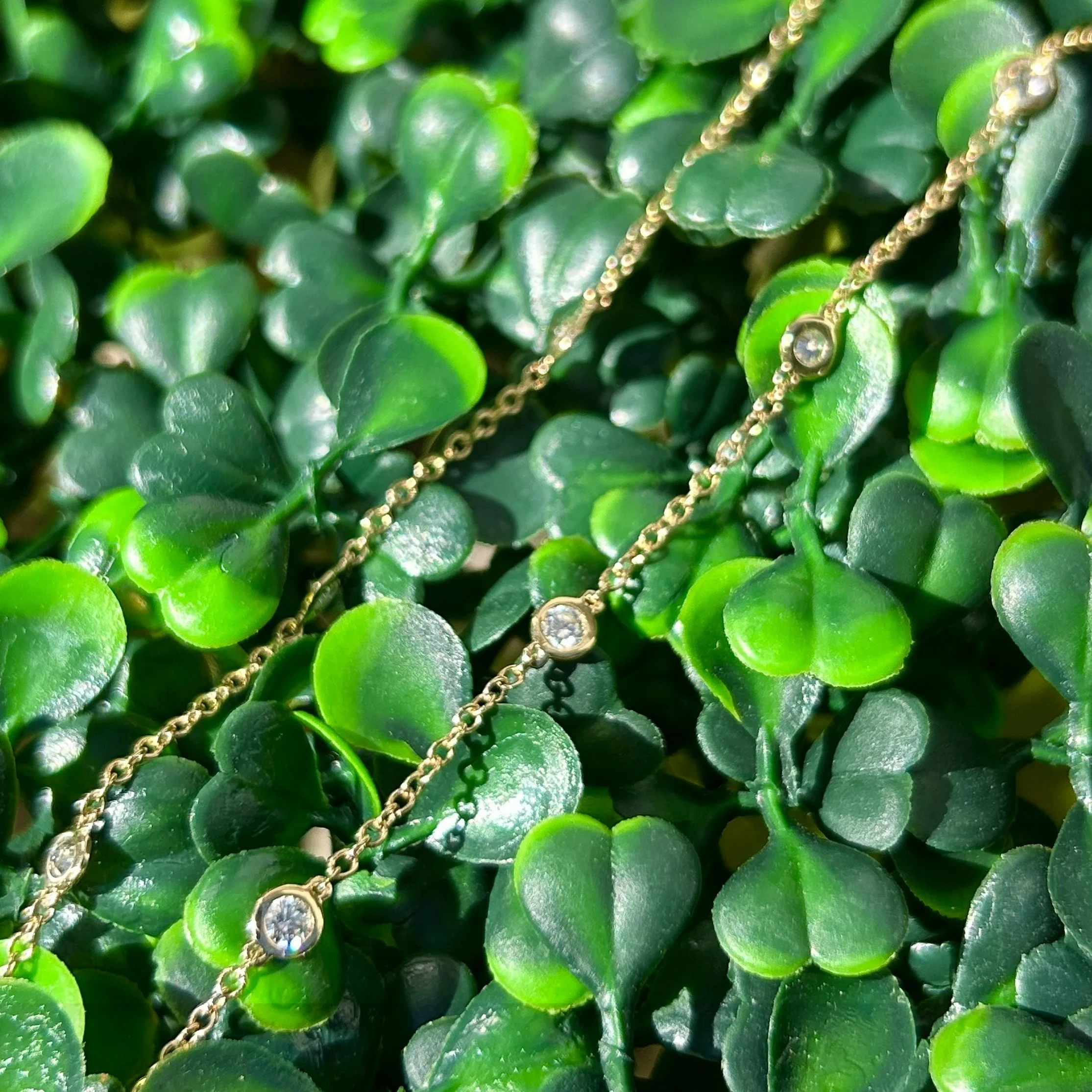 small circle 10.jpeg