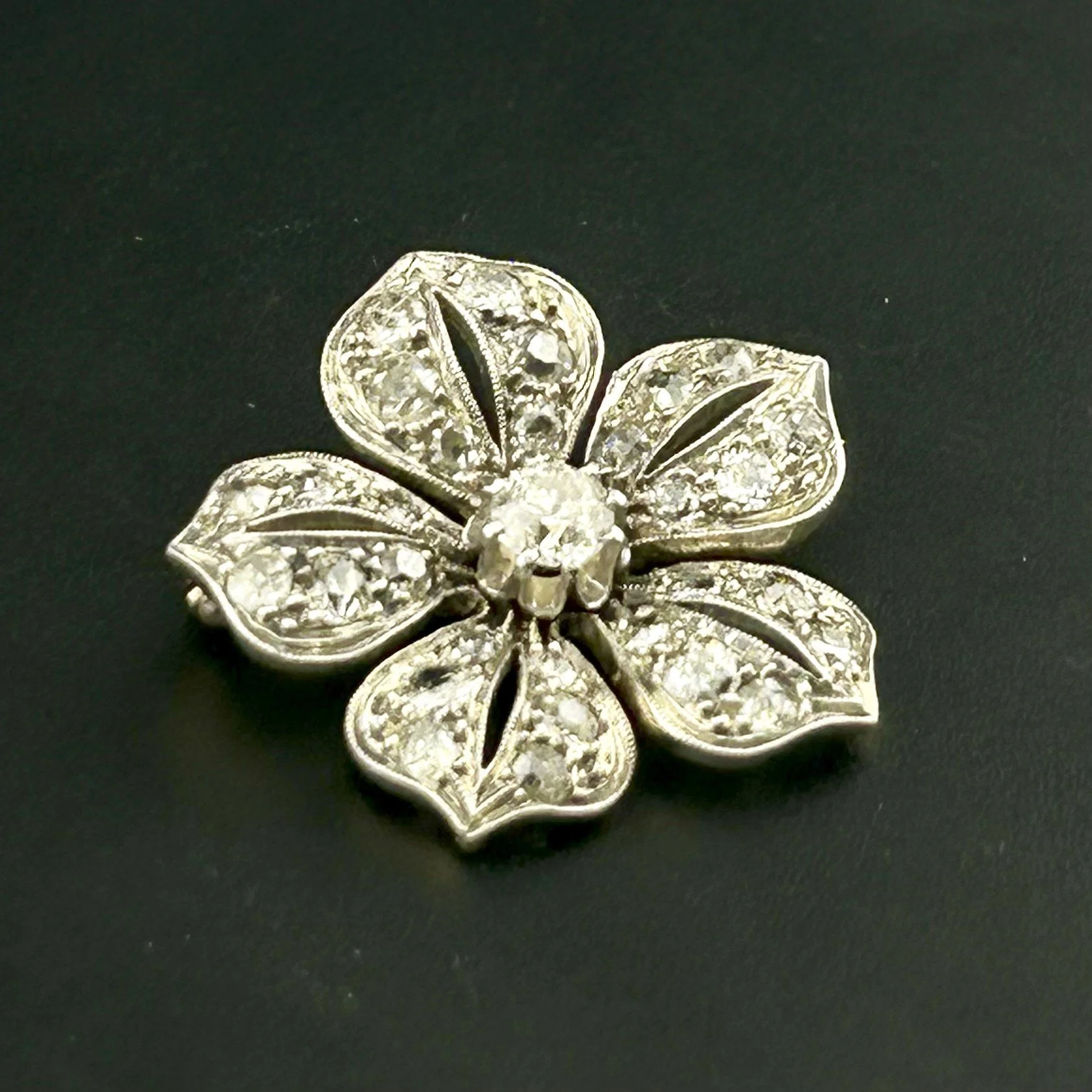 FLOWER 5.jpeg