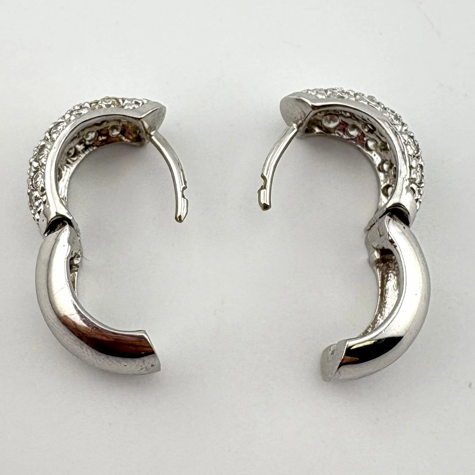 EAR7.jpg