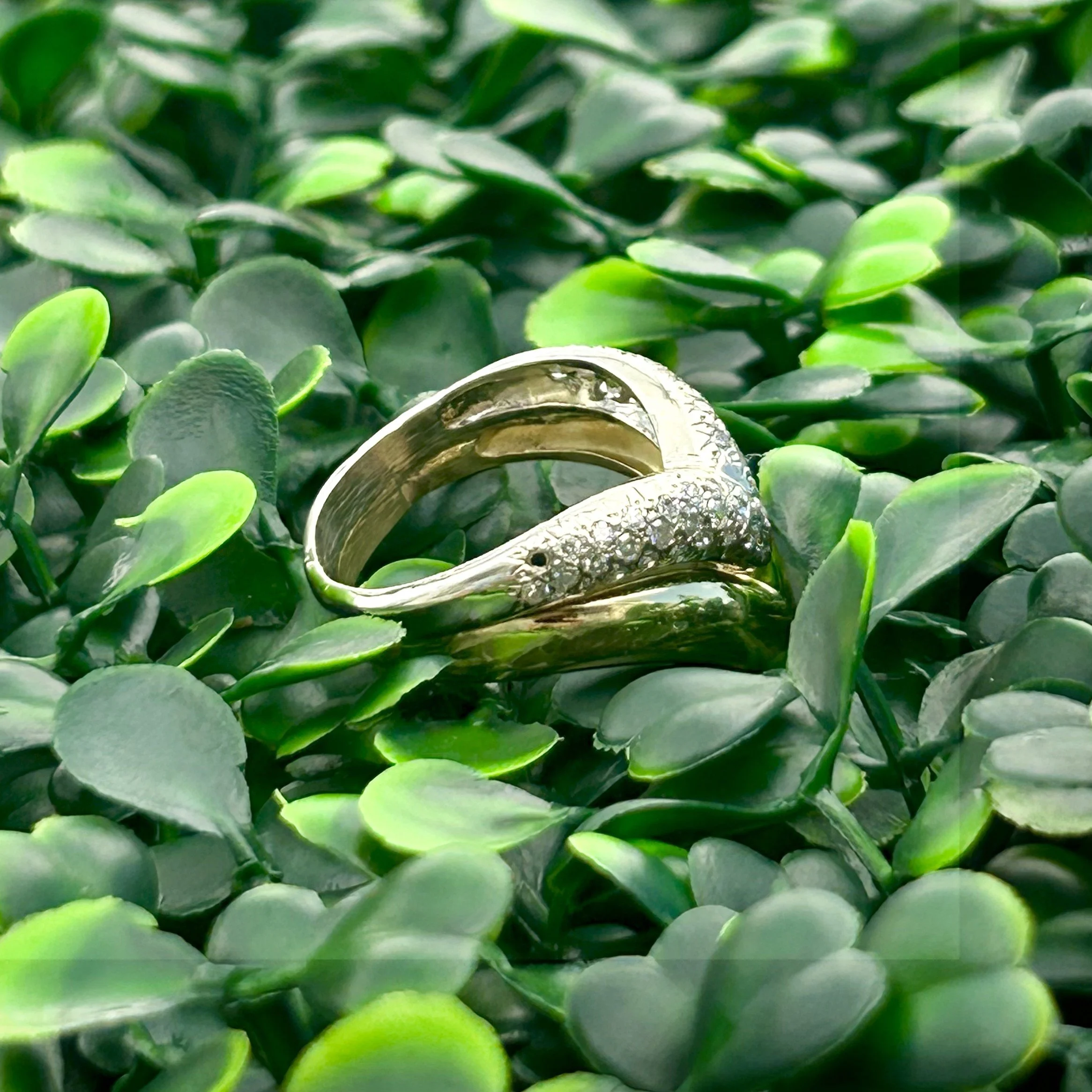 RING V7.jpeg