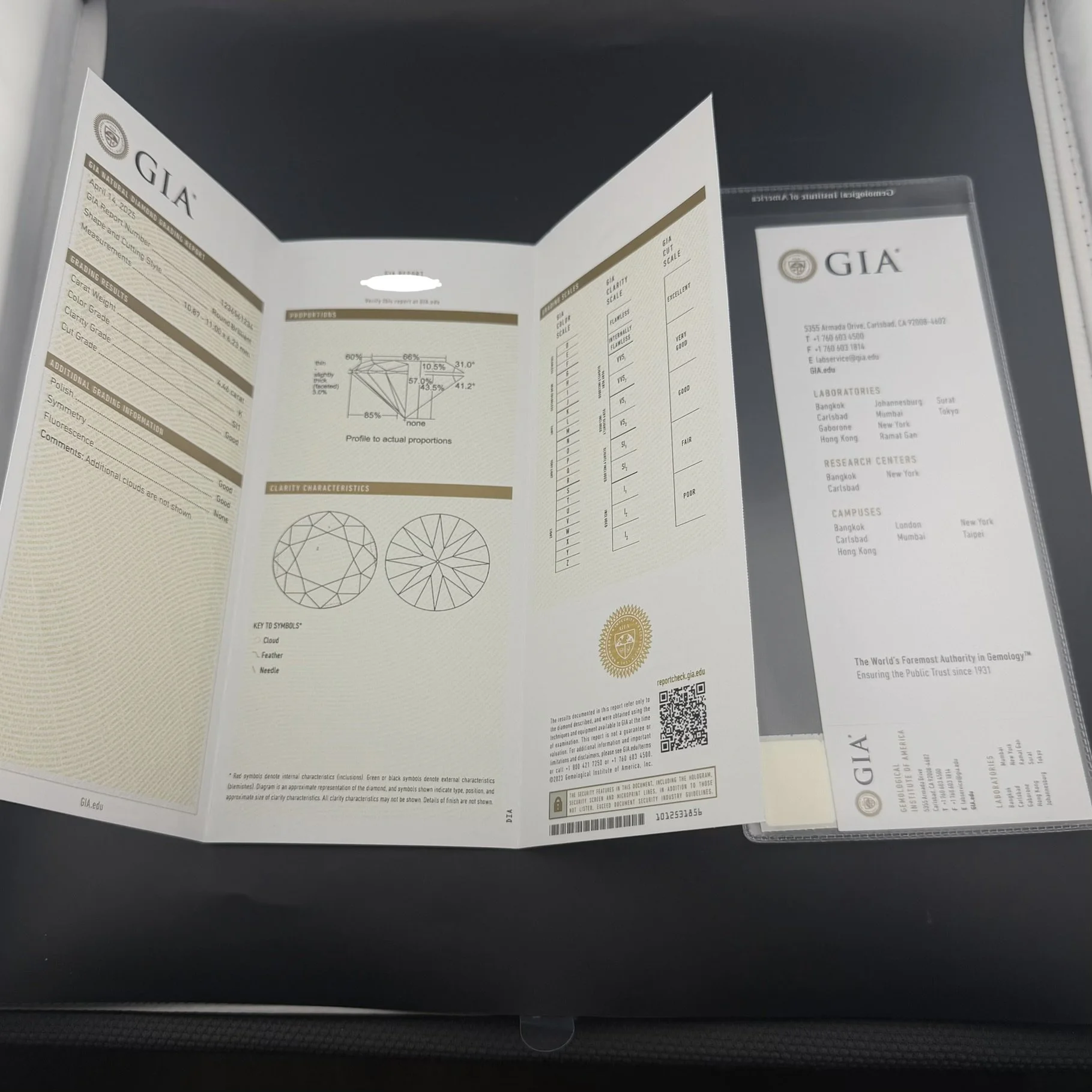 GIA4.JPG
