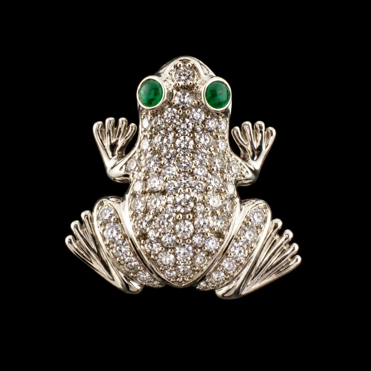 frog1.jpg