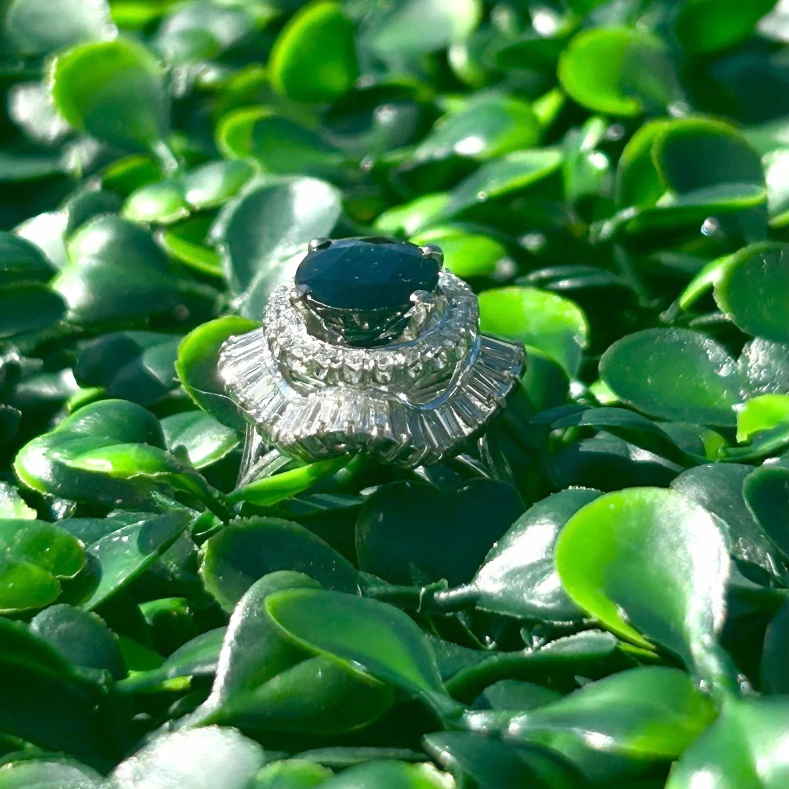 ring 1o4.jpeg