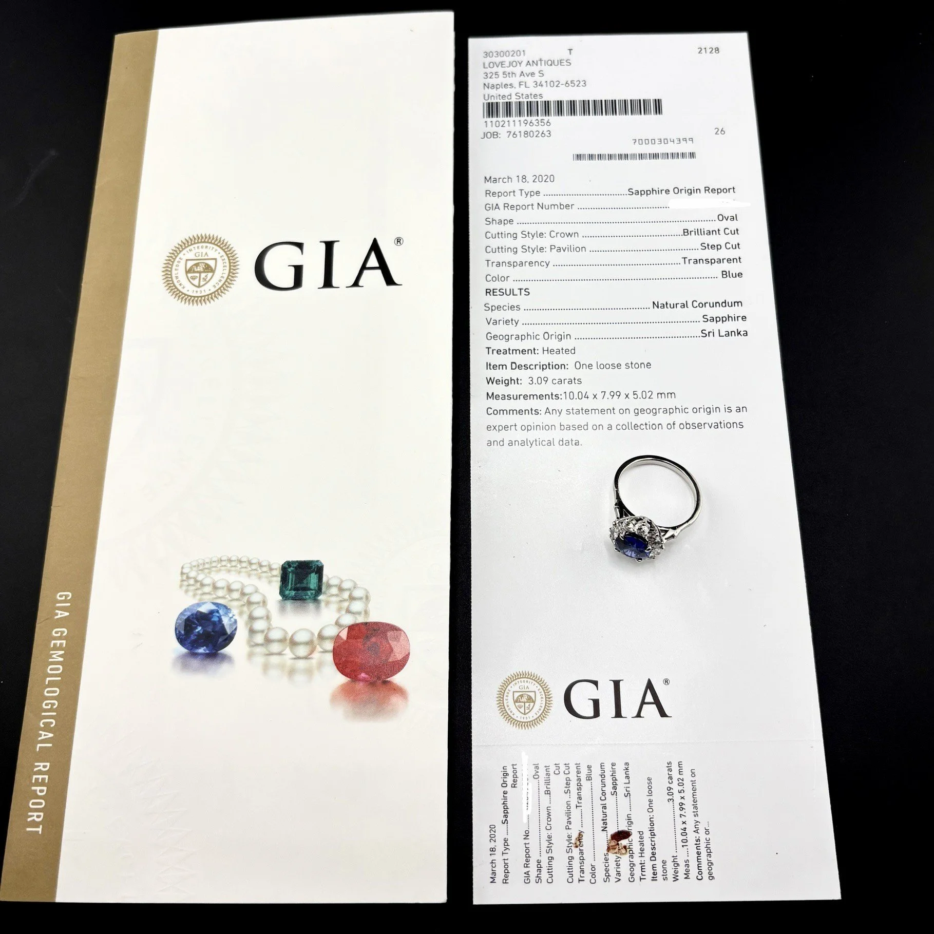 GIAS5.jpg