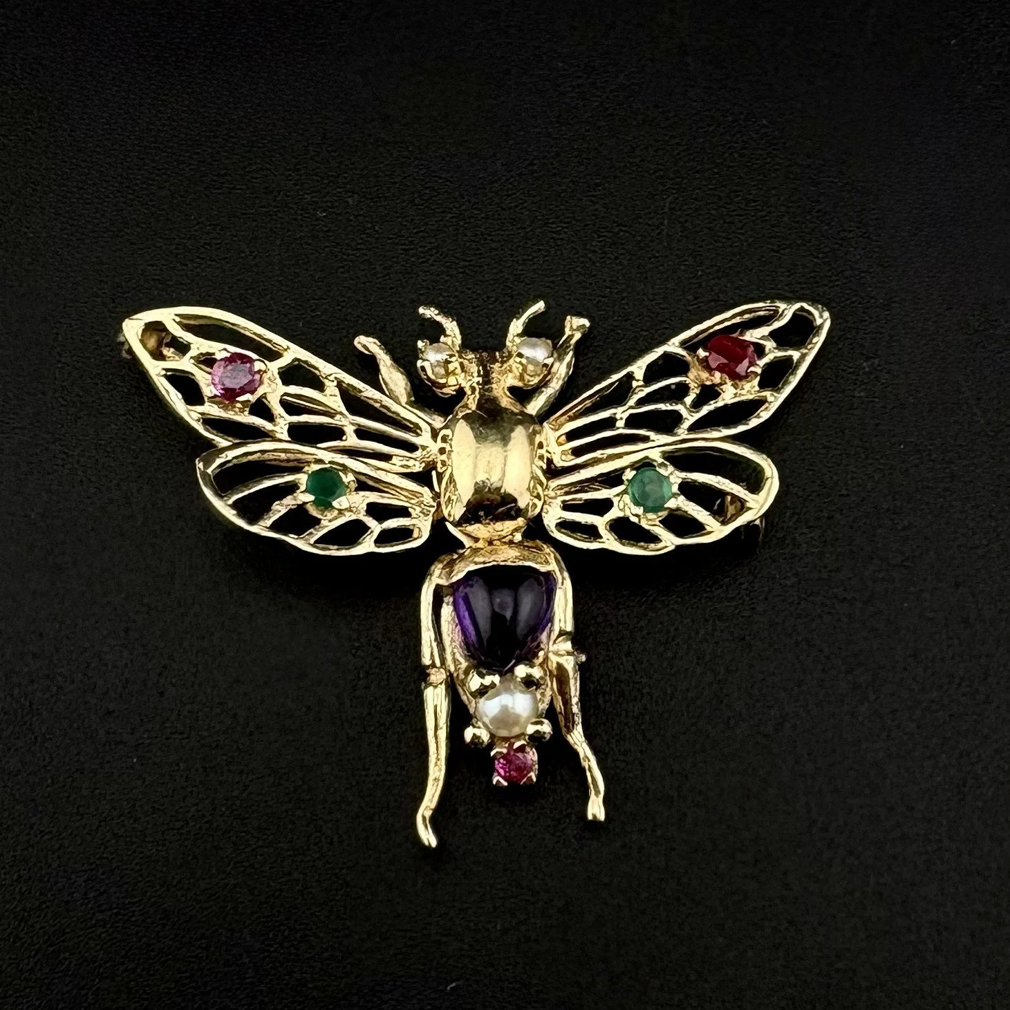 INSECT.jpeg