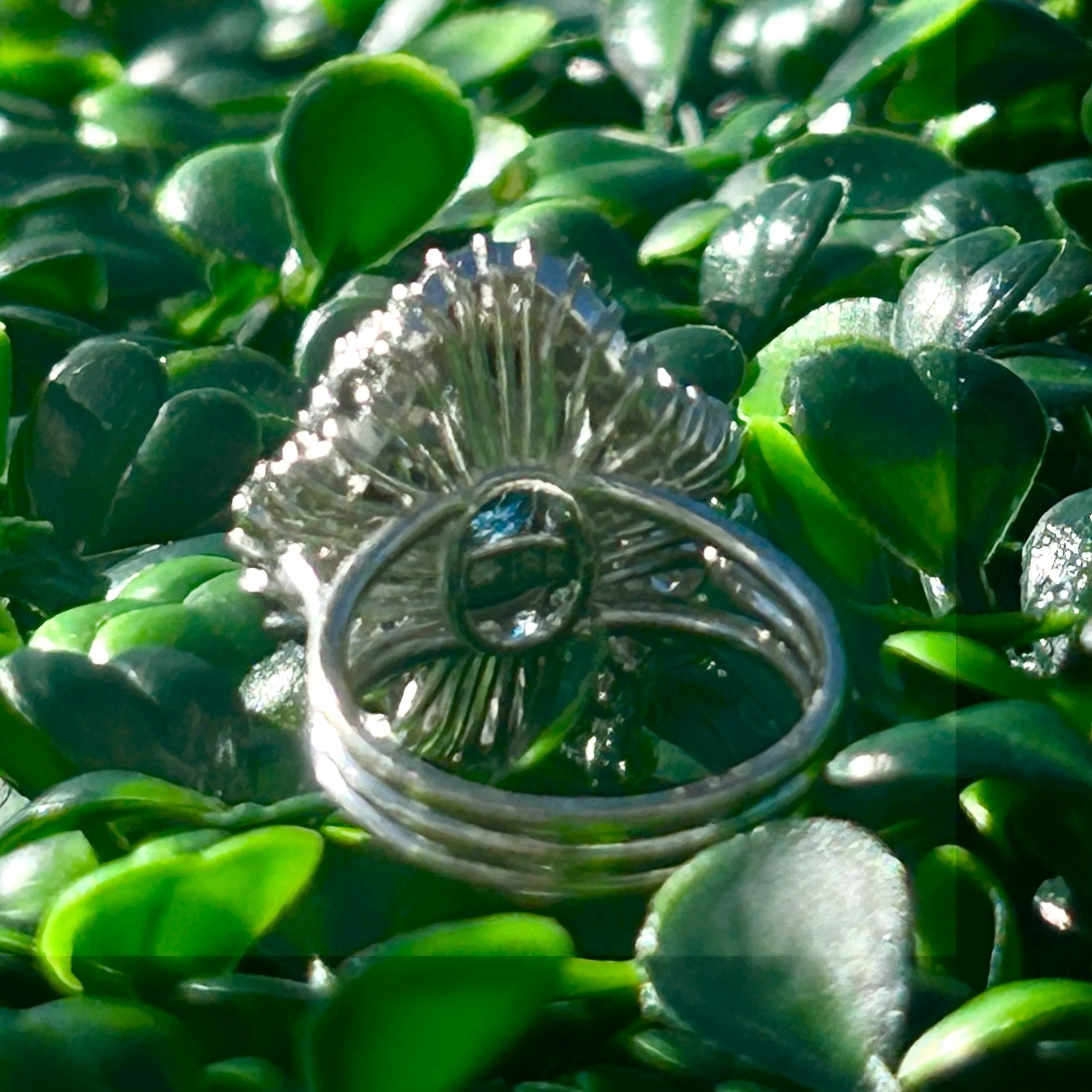 ring 1o3.jpeg