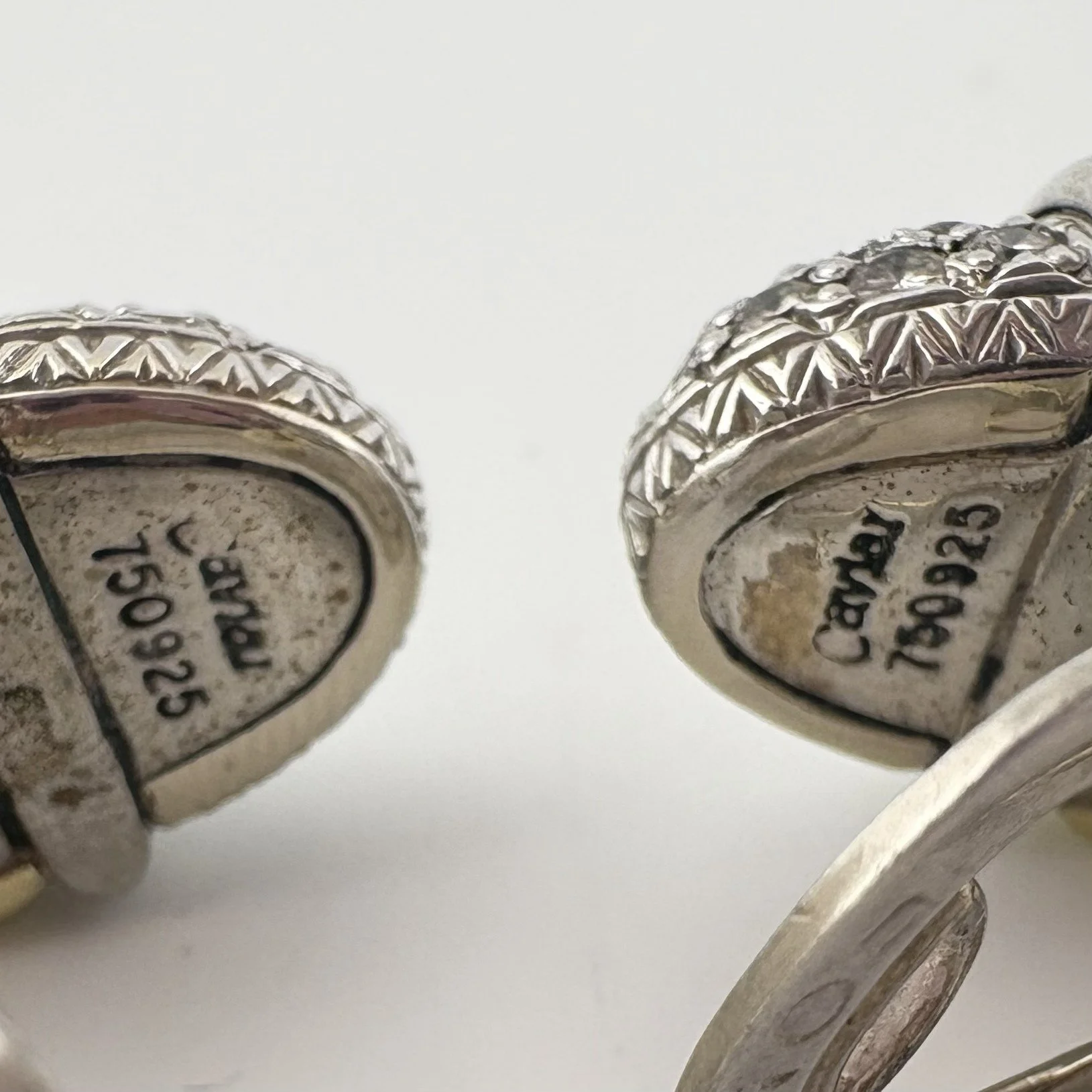 CAVI5.jpg
