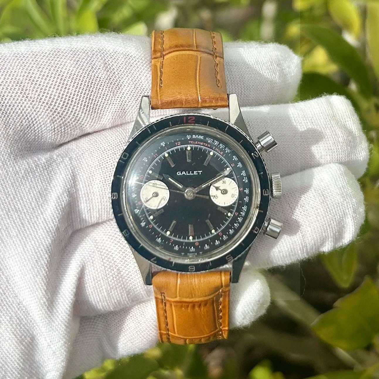GALLET 7.jpeg