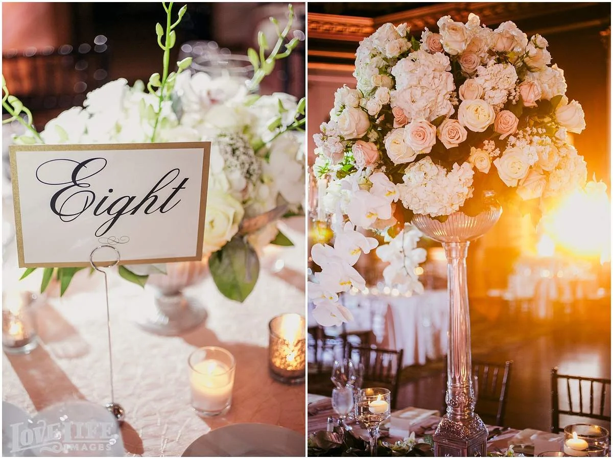 Belvedere Wedding Photographer