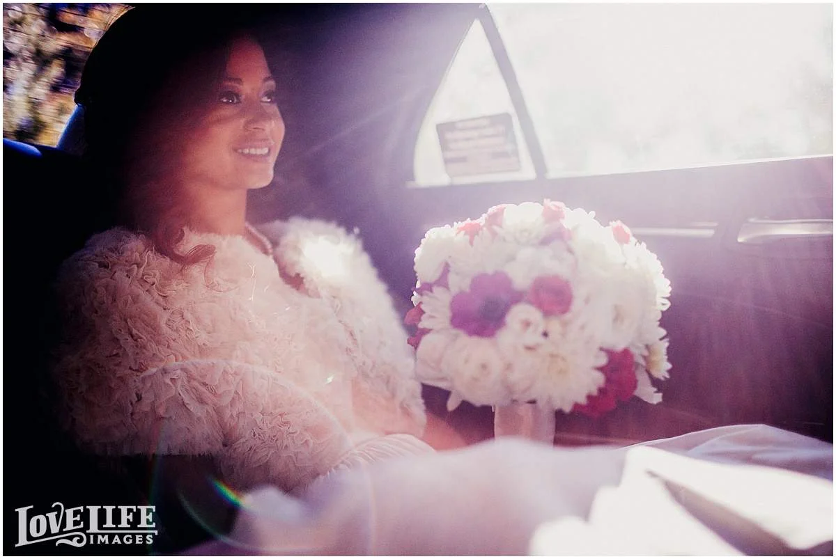 sequoia-dc-wedding_0021