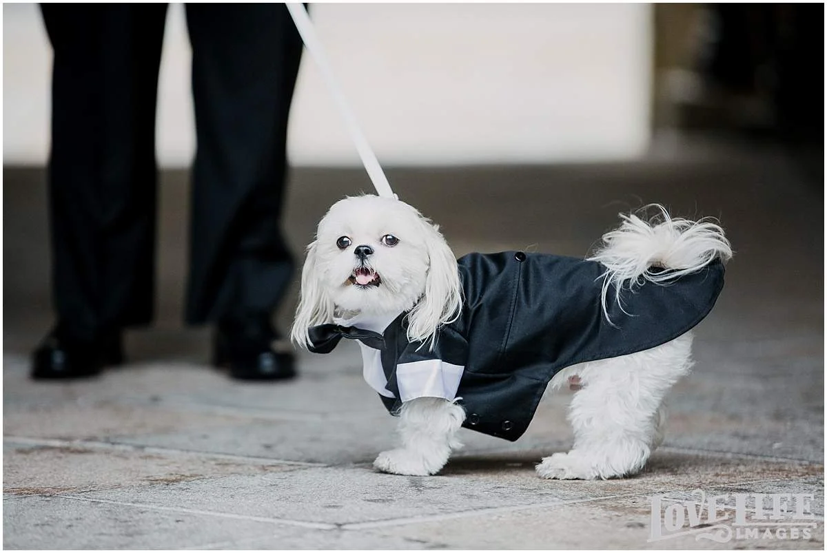 hotel-monaco-dc-wedding-photographer_0019
