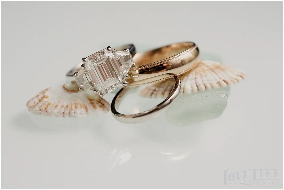 Anderson House Wedding