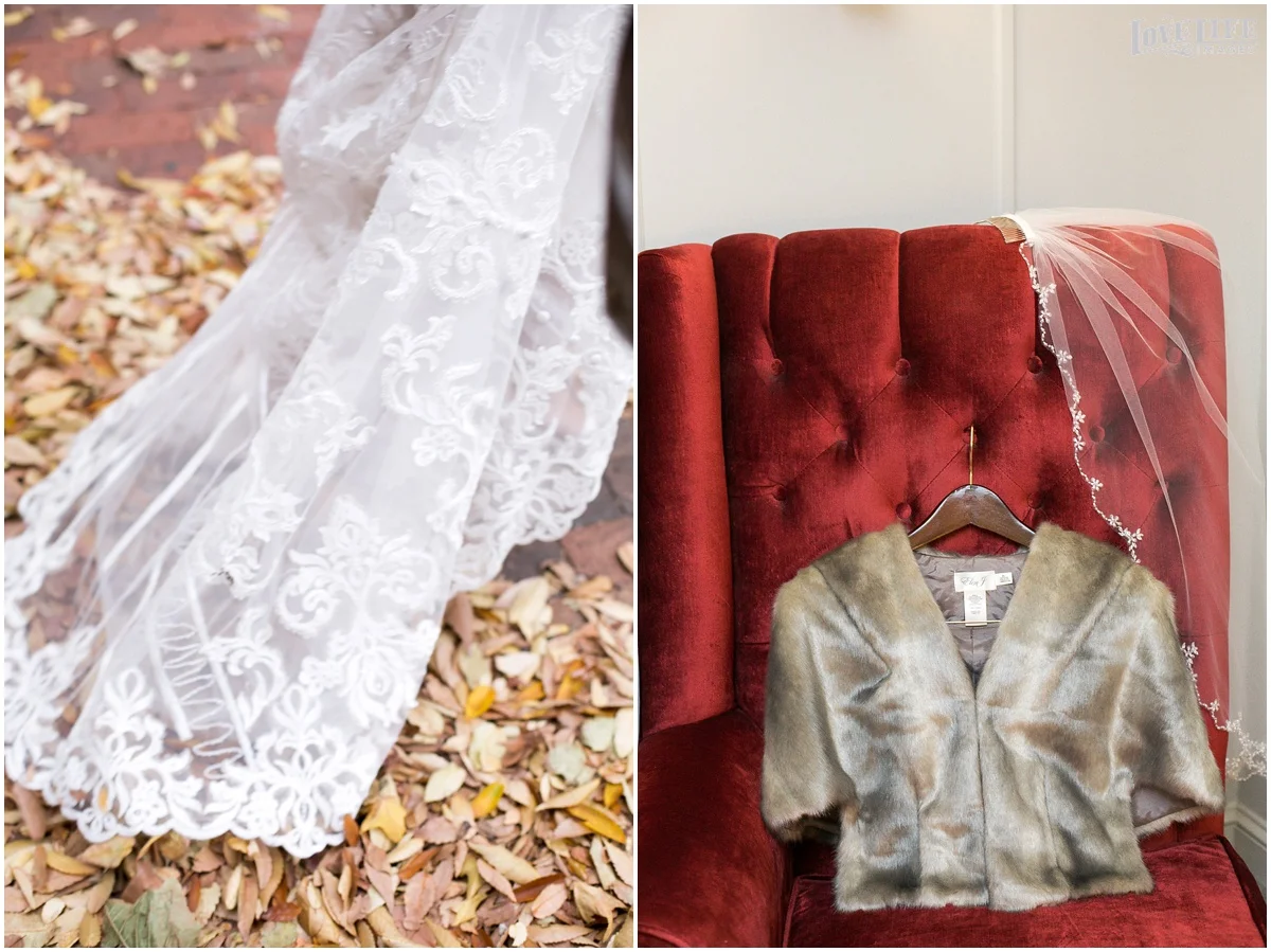 Pinstripes DC Wedding bride veil and dress details.jpg