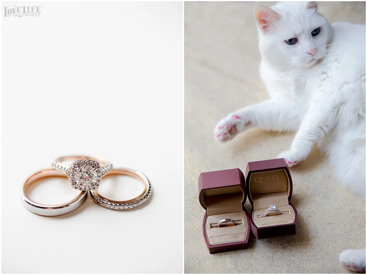 Hotel Monaco DC Wedding rings.jpg