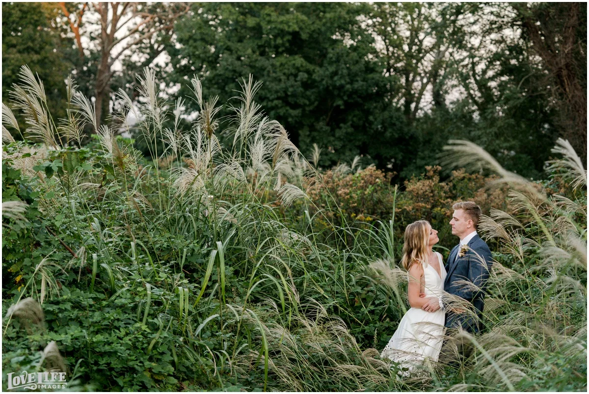 River Farm Wedding portrait in wheatgrass field.jpg