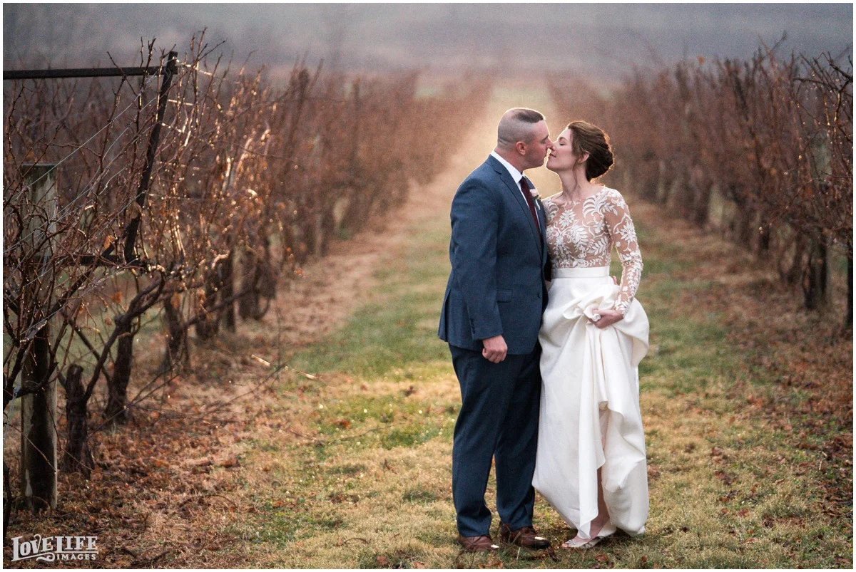 Breaux Vineyards VA Wedding portrait in vines.jpg