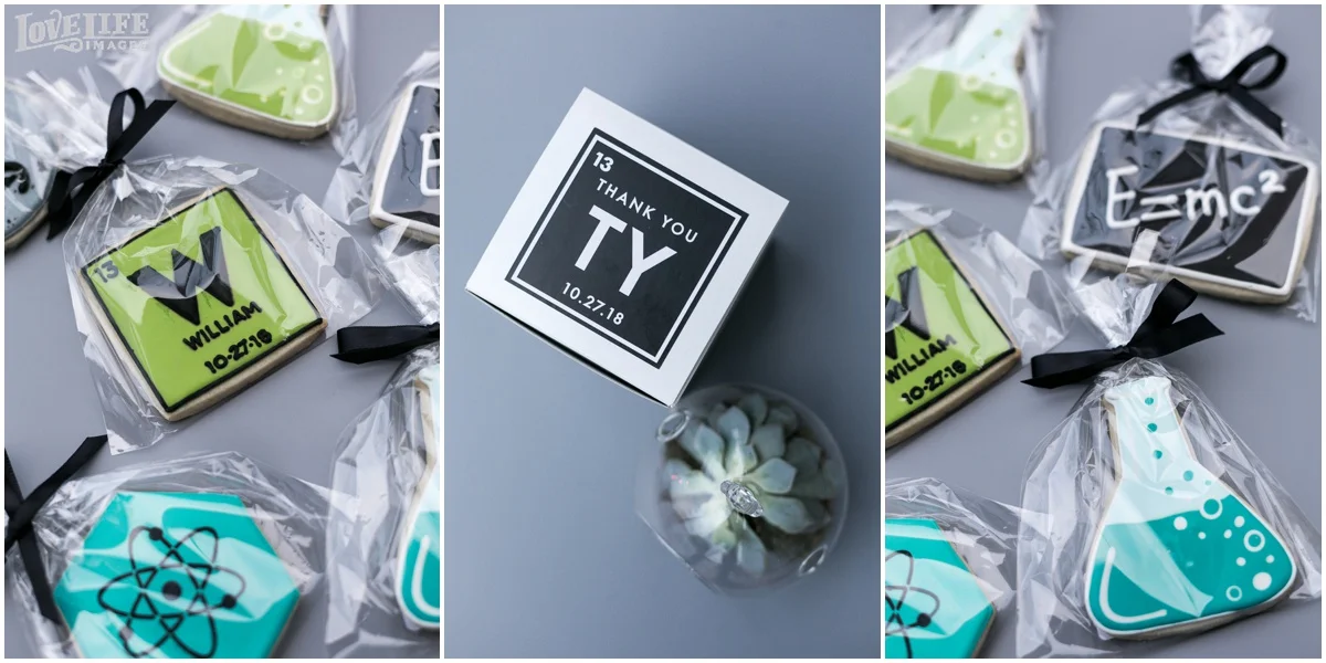 Longview Gallery Bar Mitzvah science themed cookies.jpg