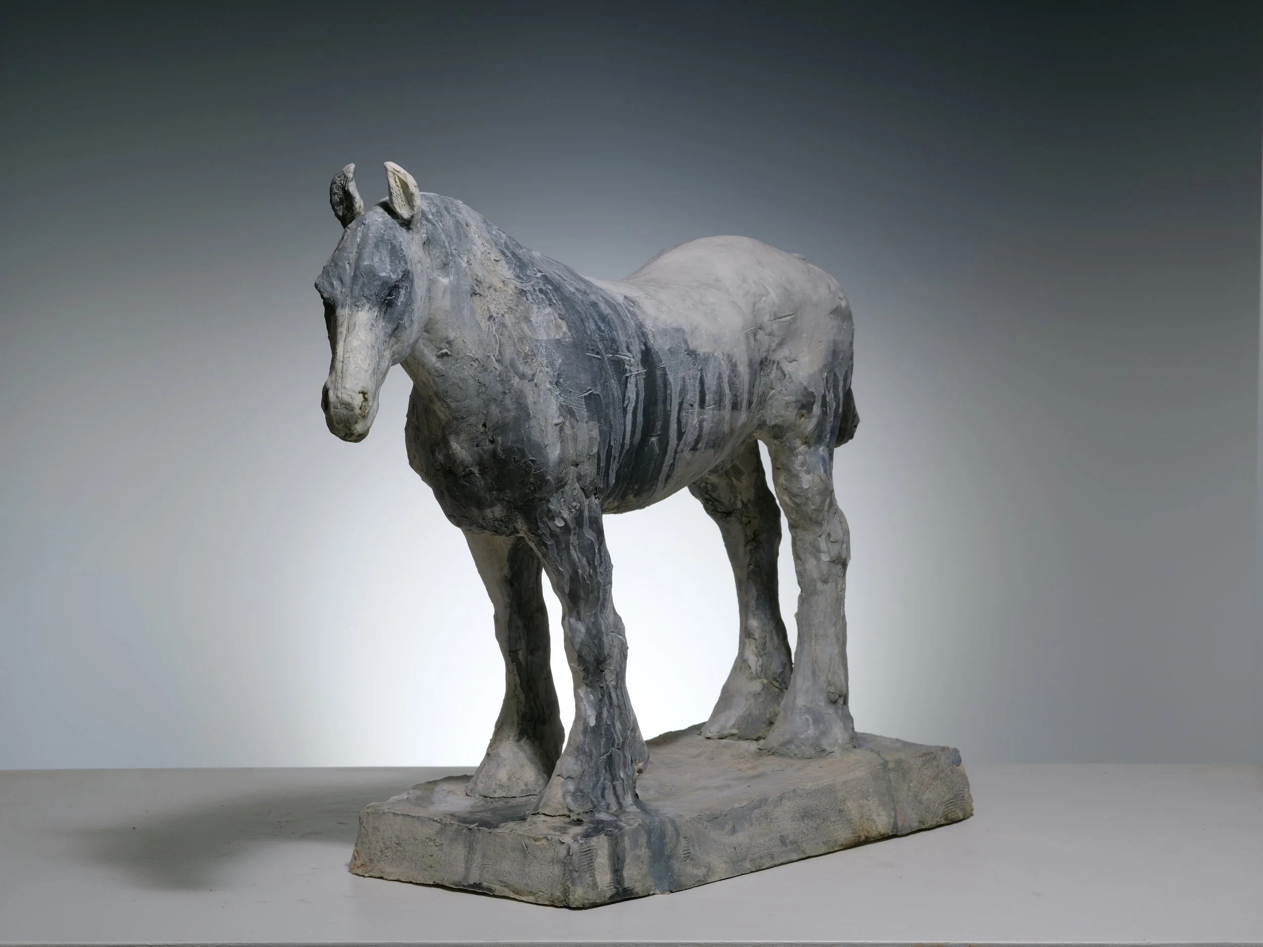 What Is Asked, alt view.JPG