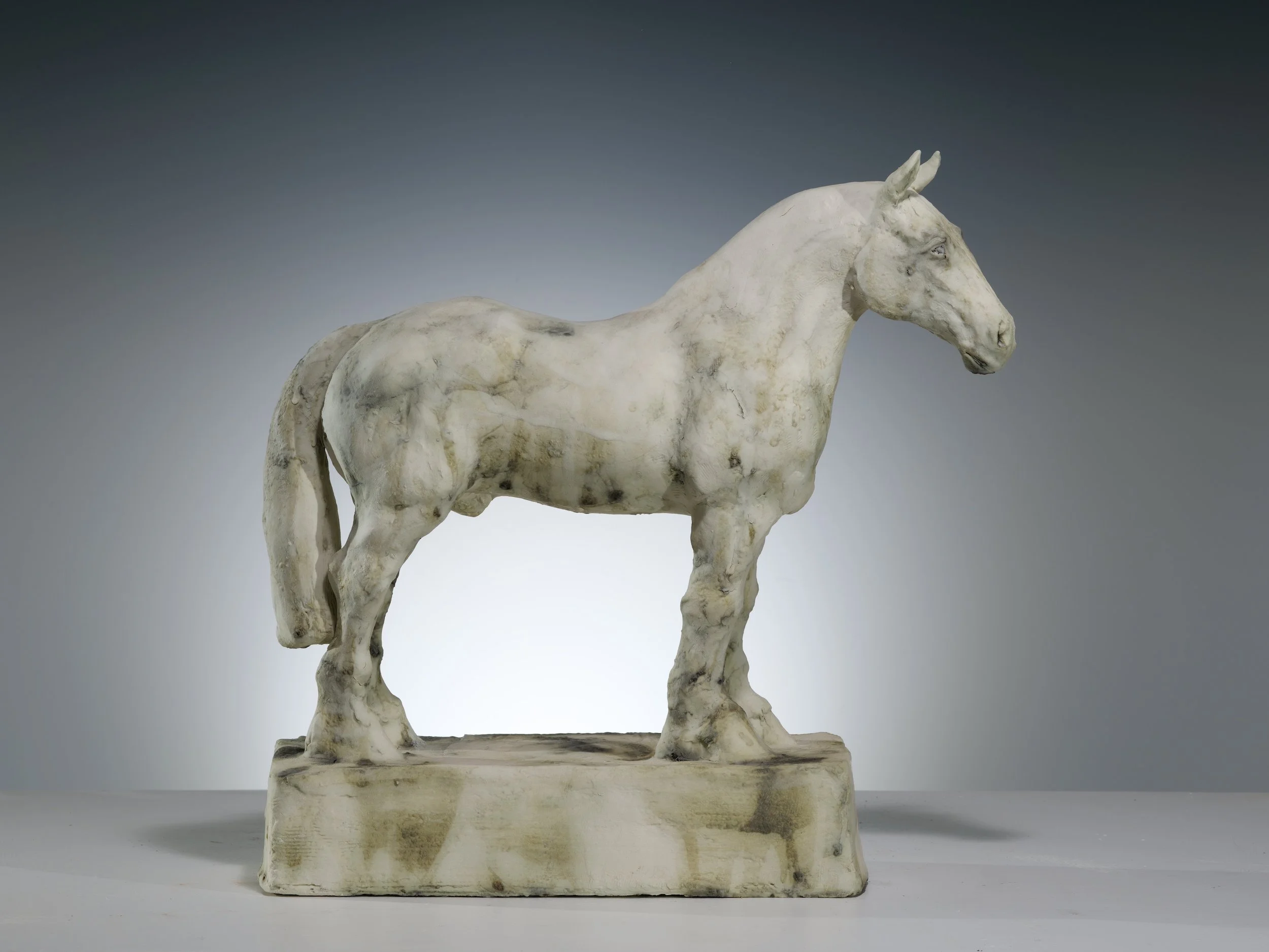 Fortitude, side view.JPG