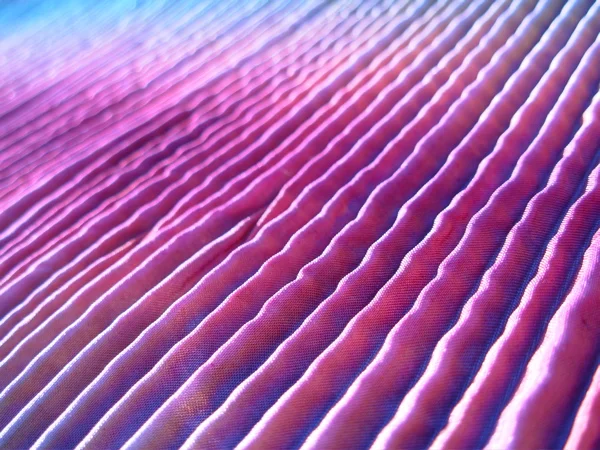 317945073_75b0c04b0b_o.jpg