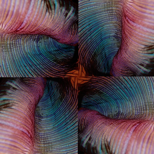 1391844099_0e47d45281_z.jpg