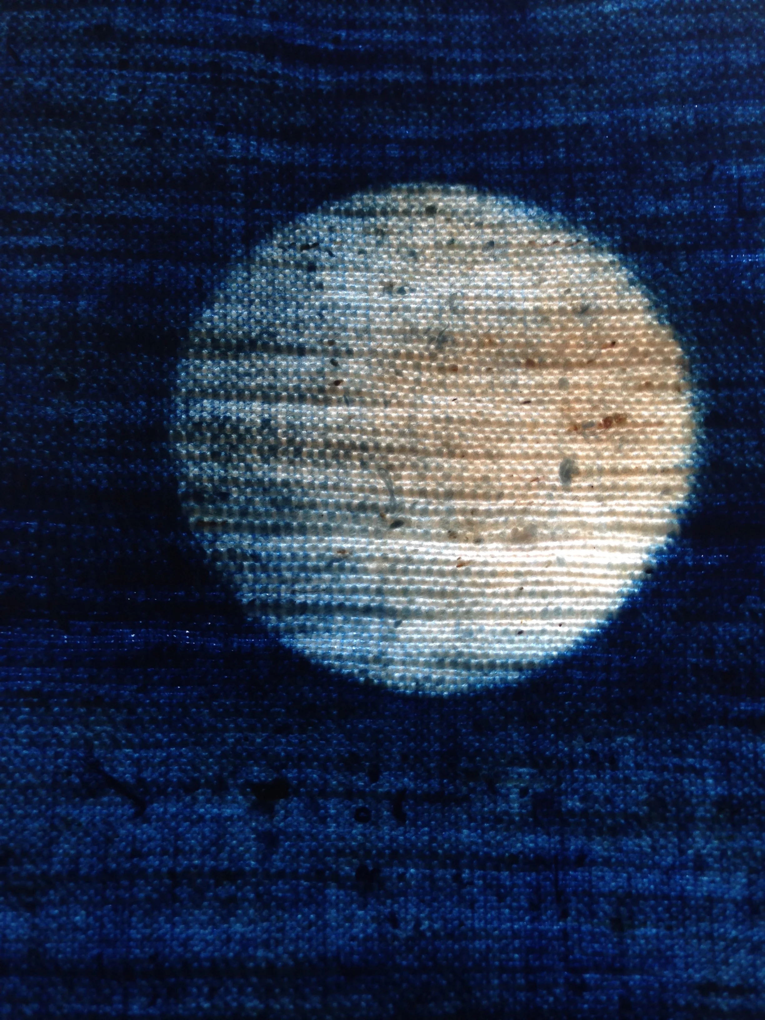 indigo night moon.jpg