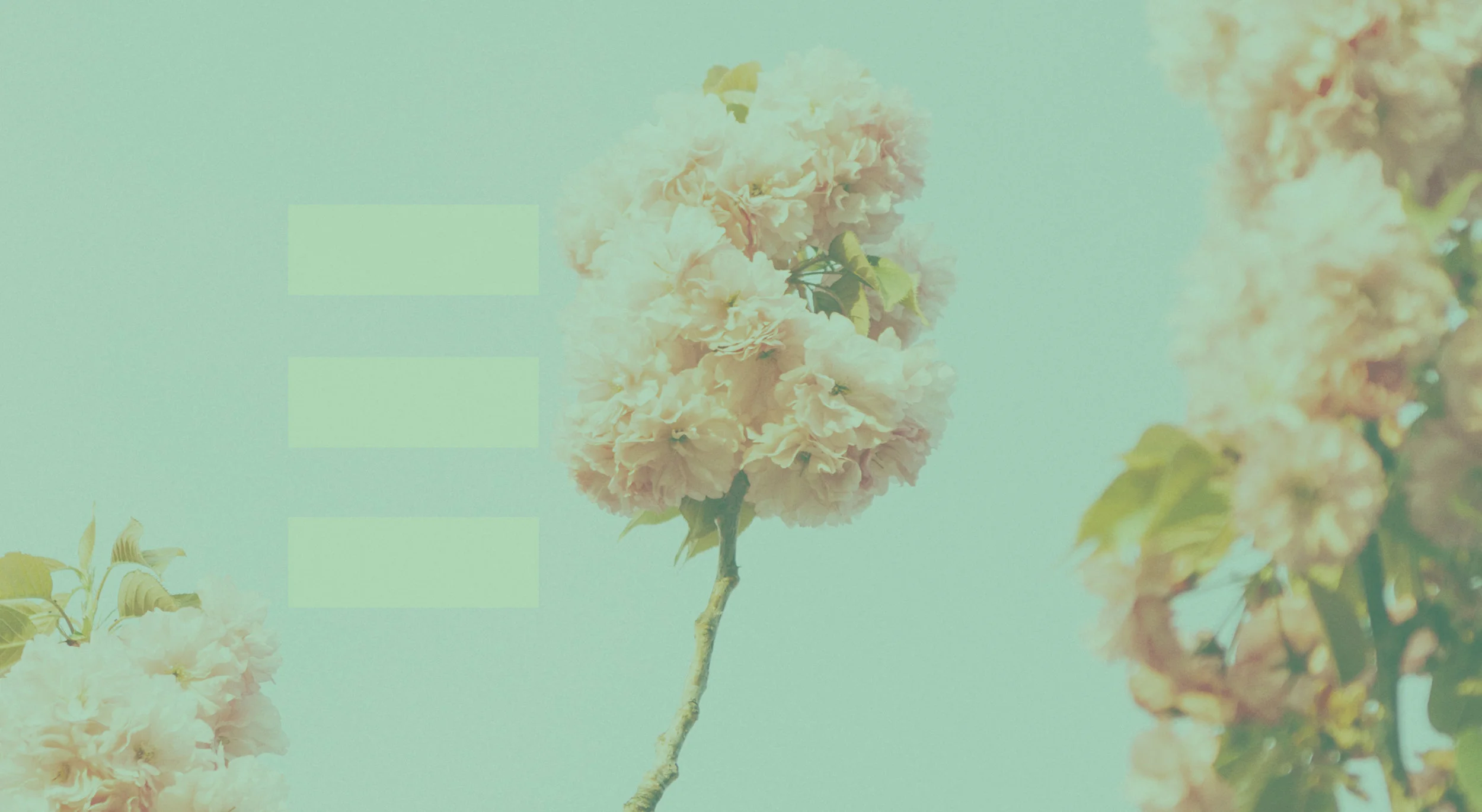 Header_Contact.jpg