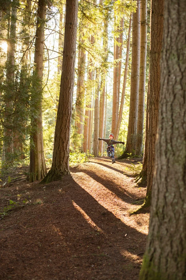 m_bloedel_sunforest copy.jpg