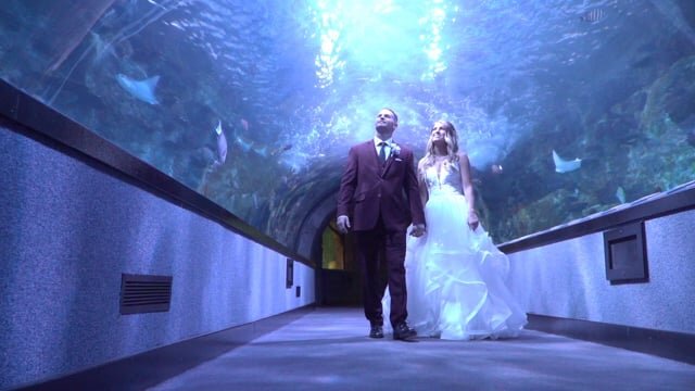Paige + Chase // 10.13.18 // Newport Aquarium