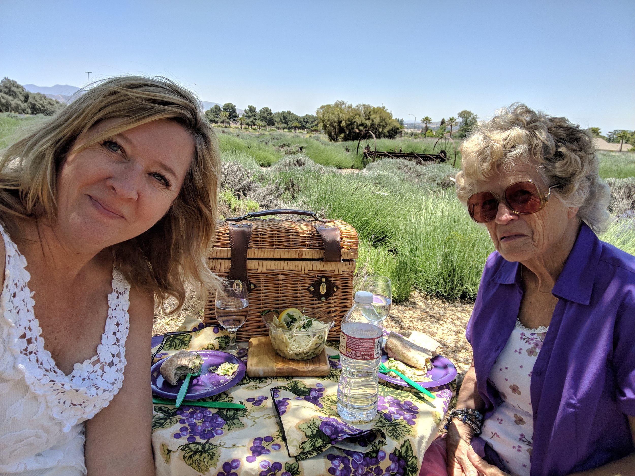 VB Picnics.  Picnic in the Lavender Fields Main Stream Events and PR Firm