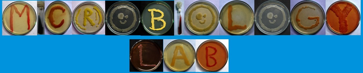 Source: bio.iit.ac.in