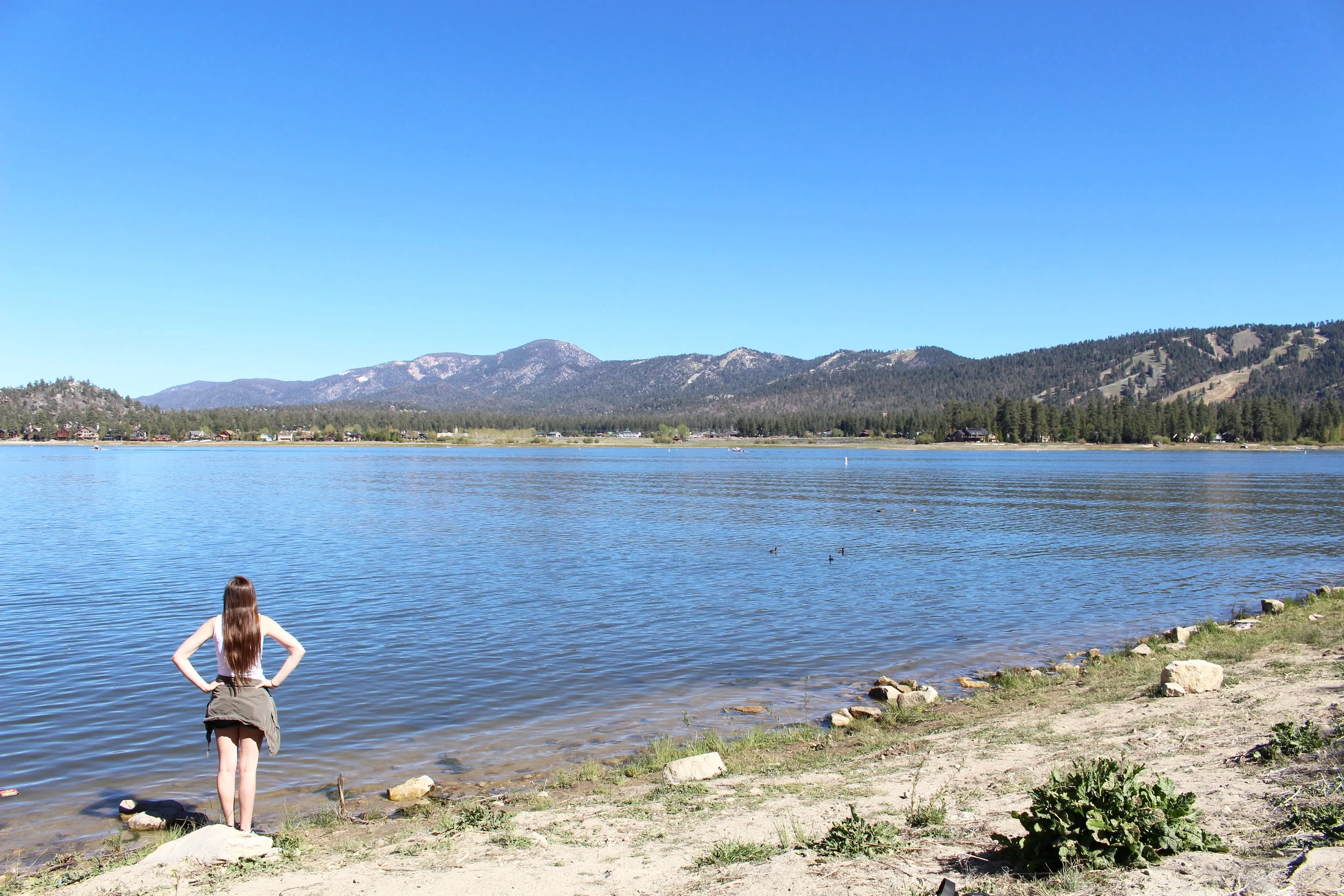 Big Bear Camping Trip Recap — Have Dog, Will Drive