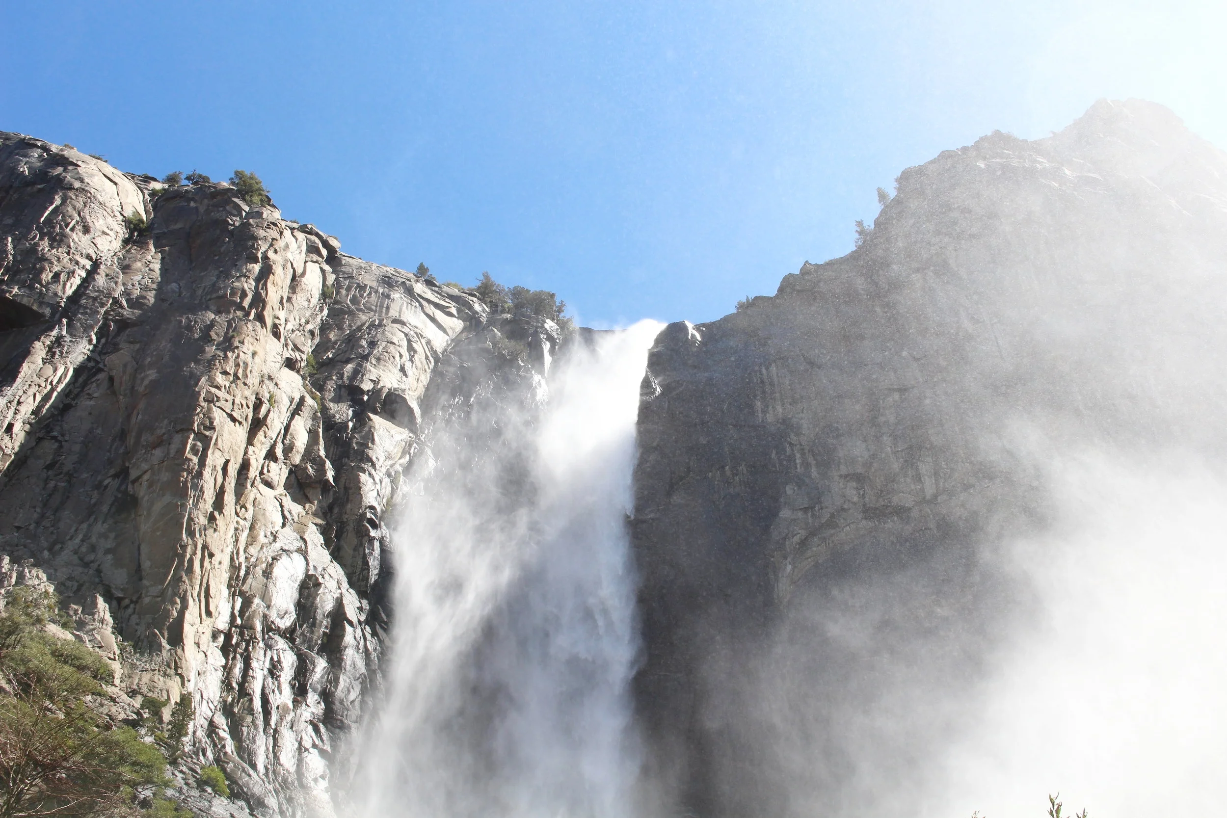 Tips For Visiting Yosemite With A Dog Have Dog Will Drive