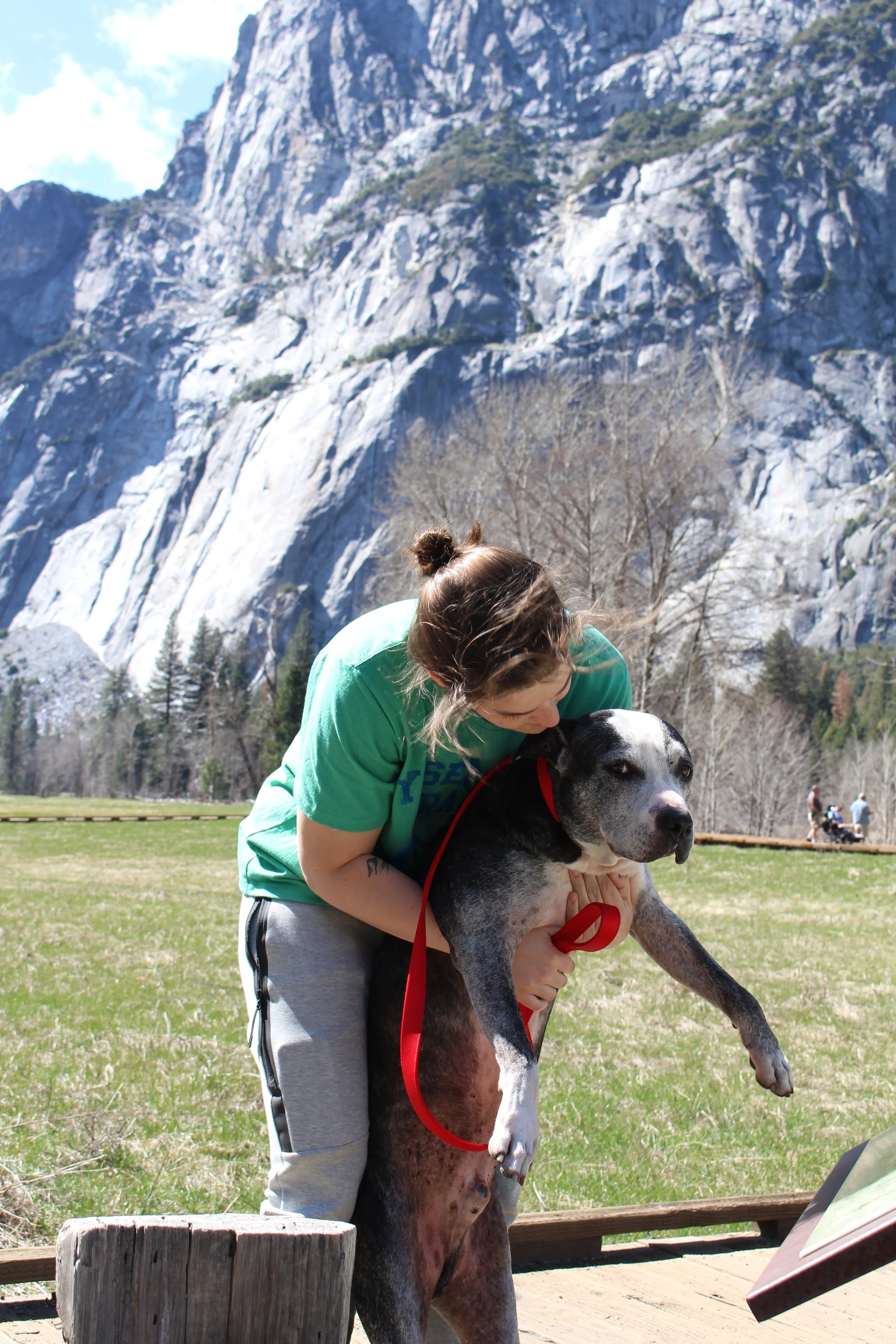 Tips For Visiting Yosemite With A Dog Have Dog Will Drive
