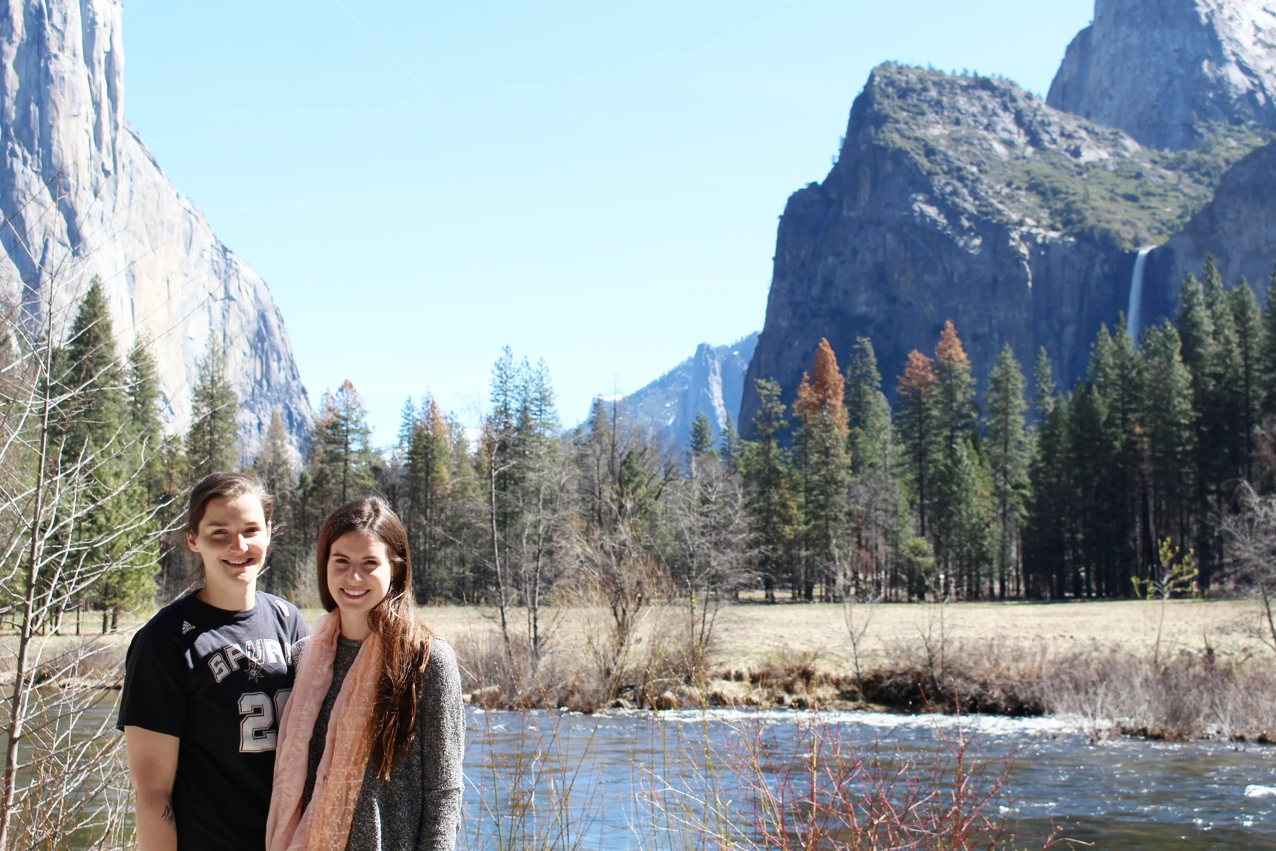Tips For Visiting Yosemite With A Dog Have Dog Will Drive