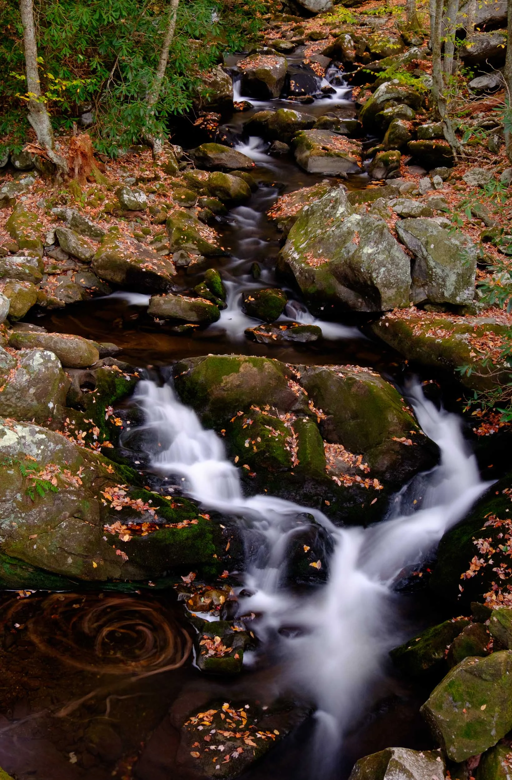 DSCF9956.jpg