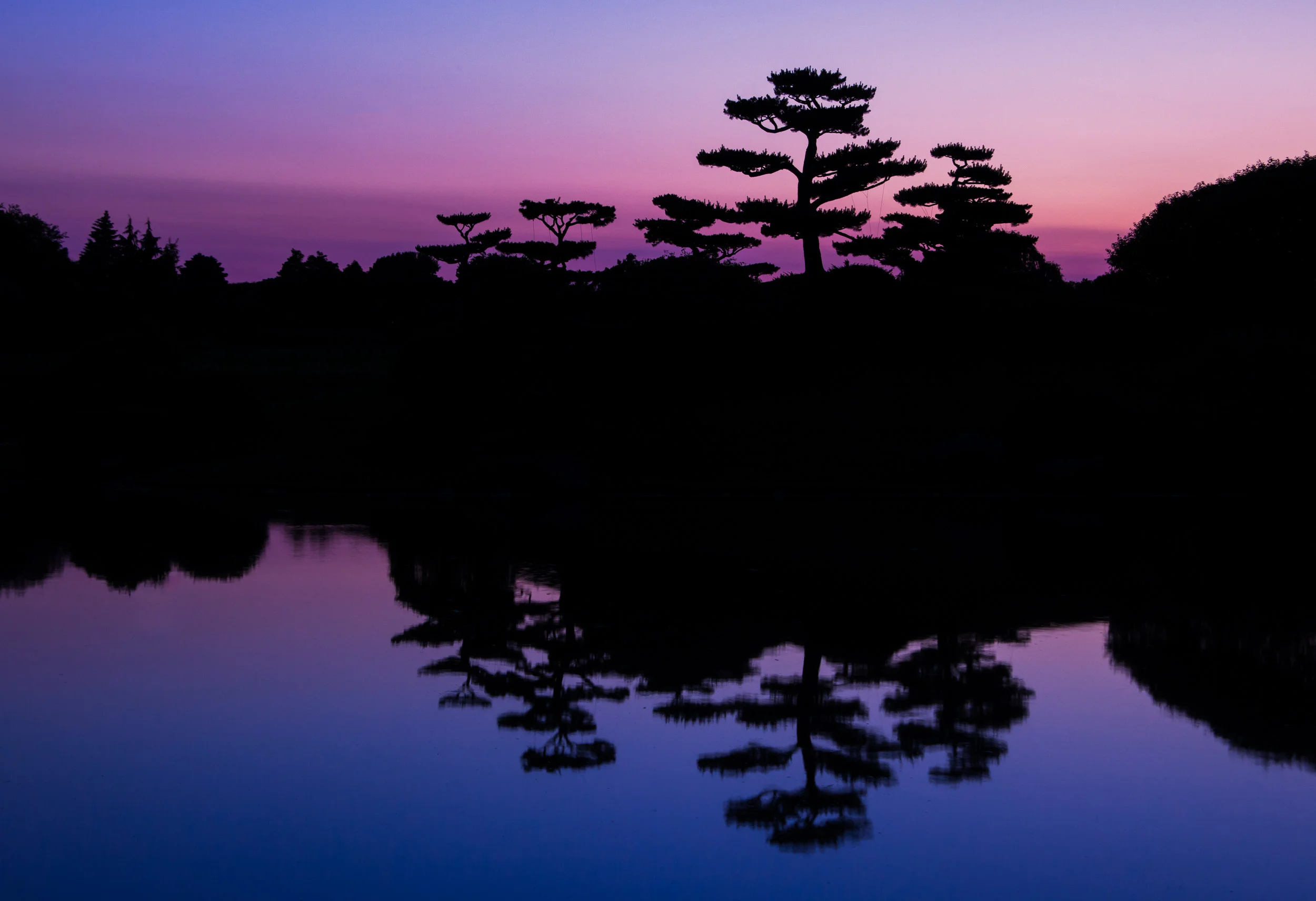 IMG_3206-Edit.jpg