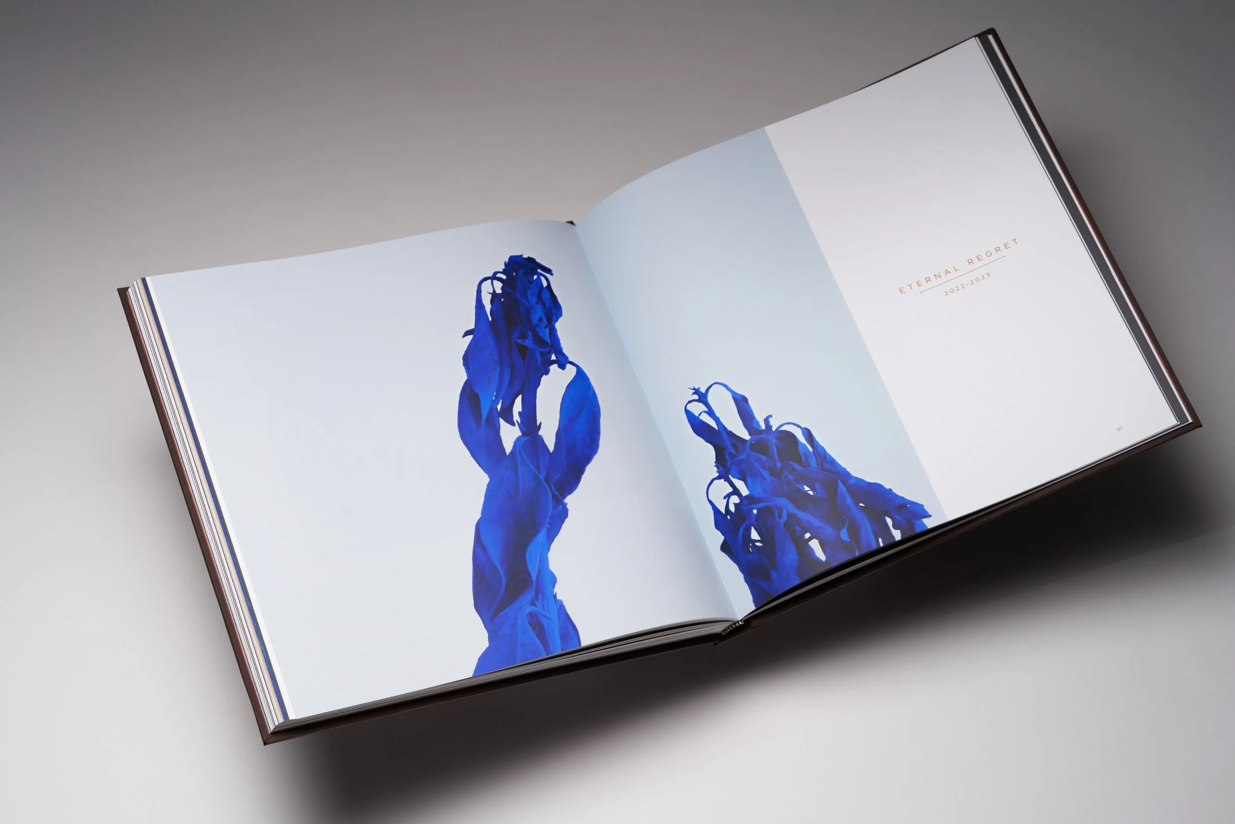 Gardener Book Eternal Regret Intro with image_3294.jpg