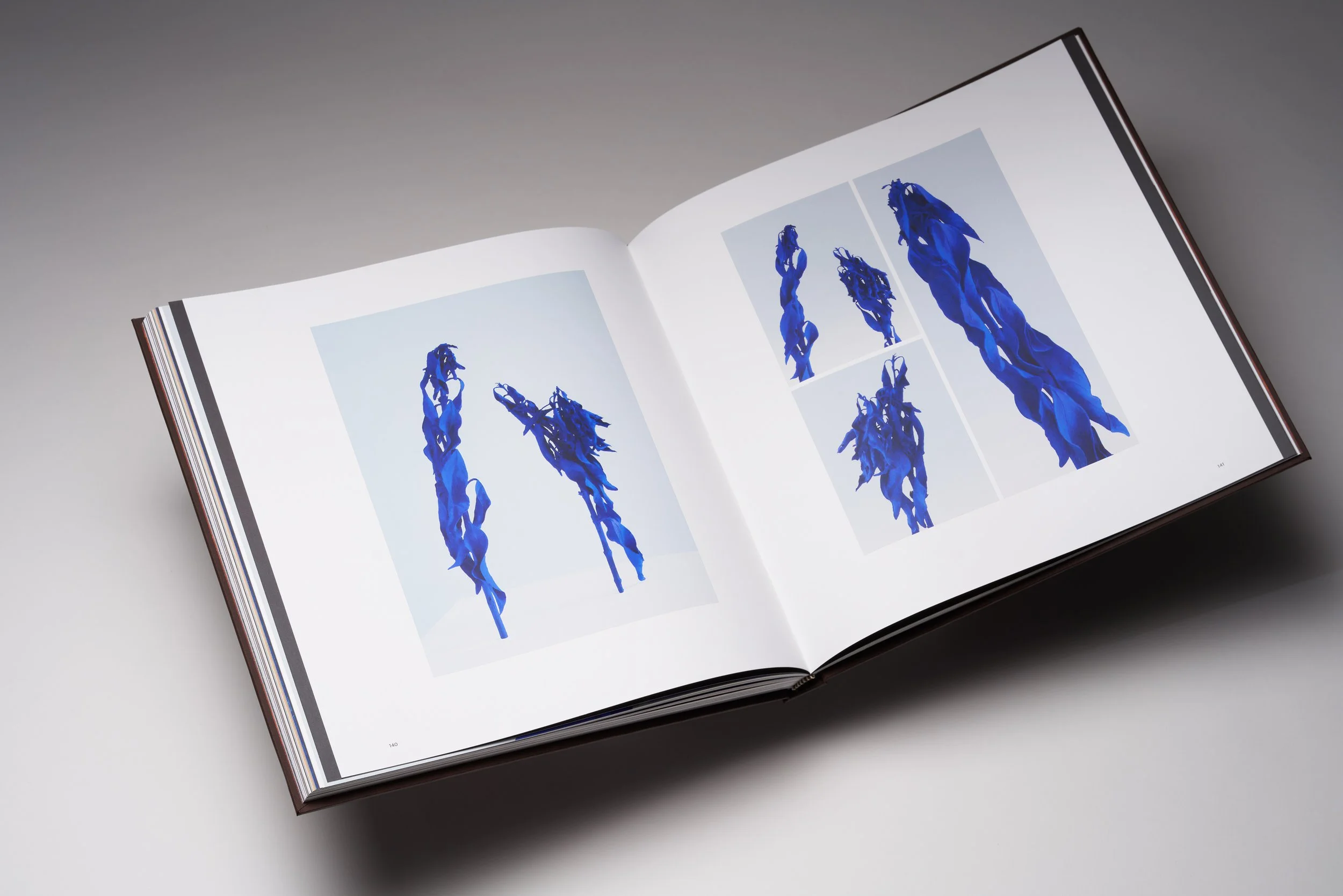 Gardener Book Eternal Regret multi spread_3298.jpg