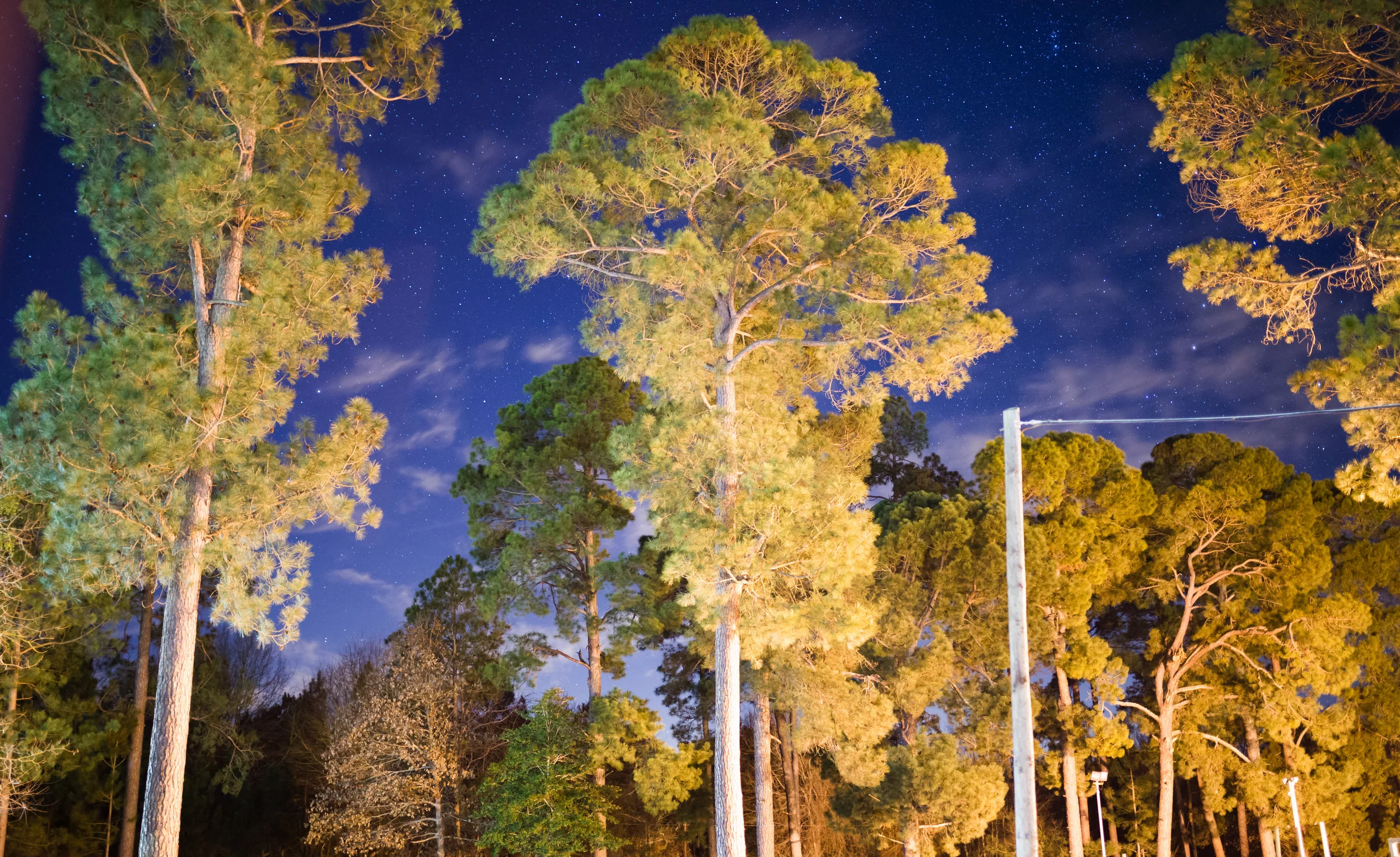 Kairos 30 (40 of 274).jpg
