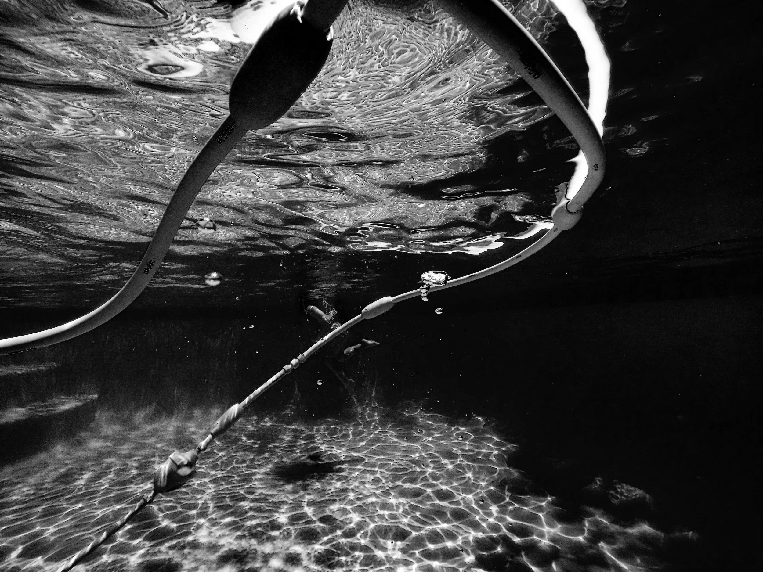Black and White Underwater (3 of 4).jpg