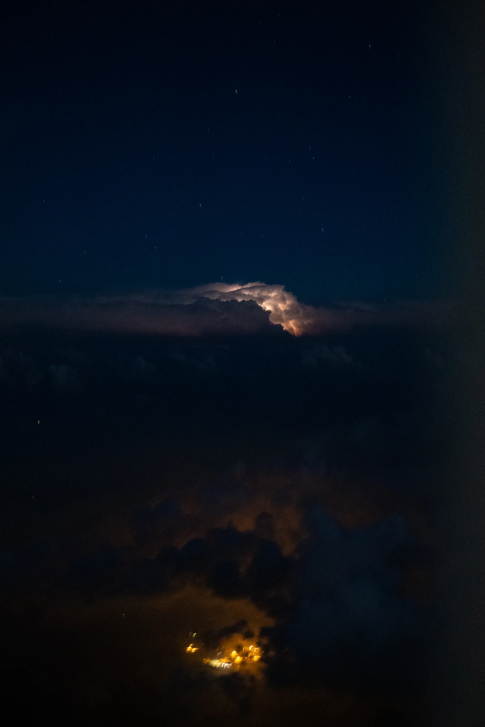 Cali (348 of 348).jpg