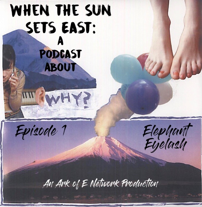 The Music Ark Podcast Presents: When the Sun Sets East / Untethered Layers - Episode 1 : Elephant Eyelash episode artwork