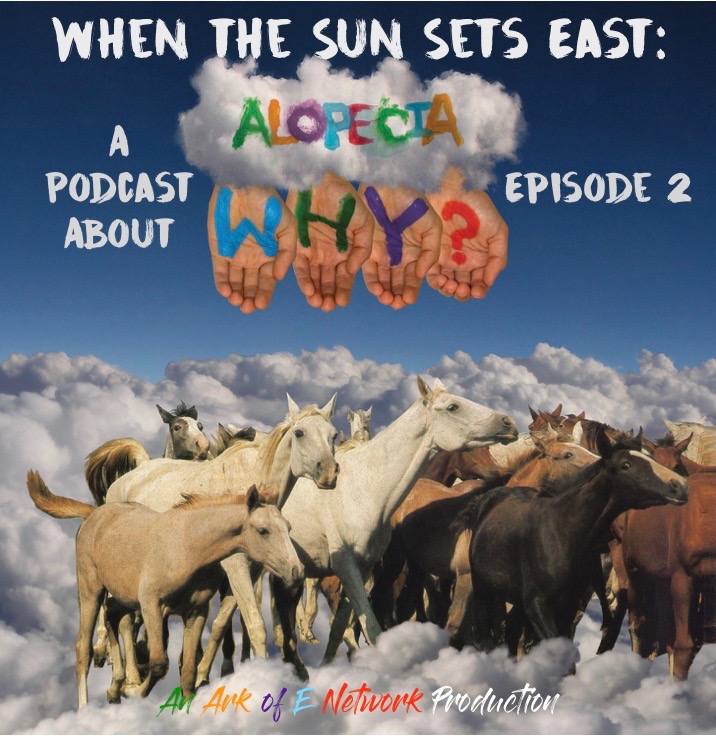 The Music Ark Podcast Presents: When the Sun Sets East: A Podcast About WHY? - Episode 2 : Alopecia episode artwork
