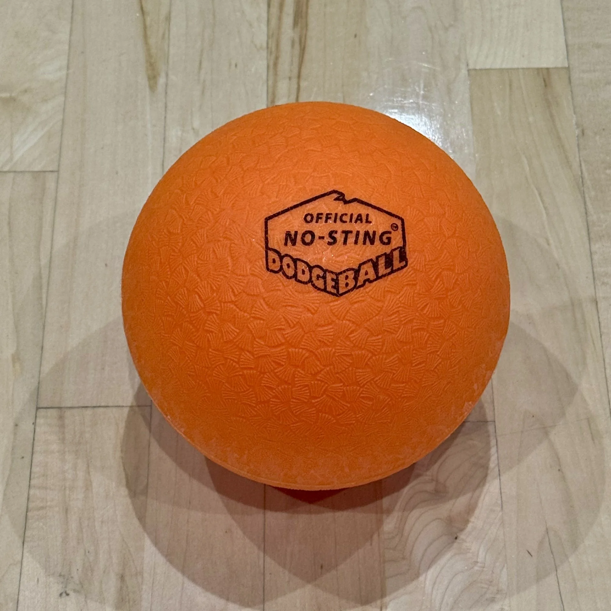 New Logo Orange Ball.jpg