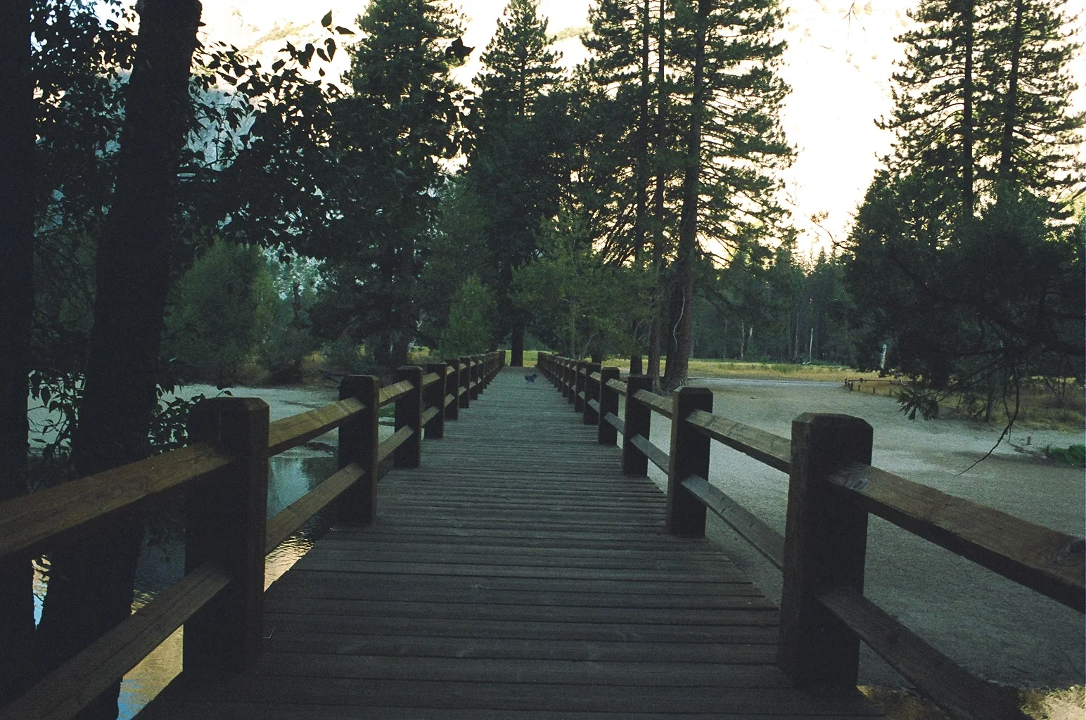 2C50E455-32C1-46DA-8125-948327B7A72D 2.JPG