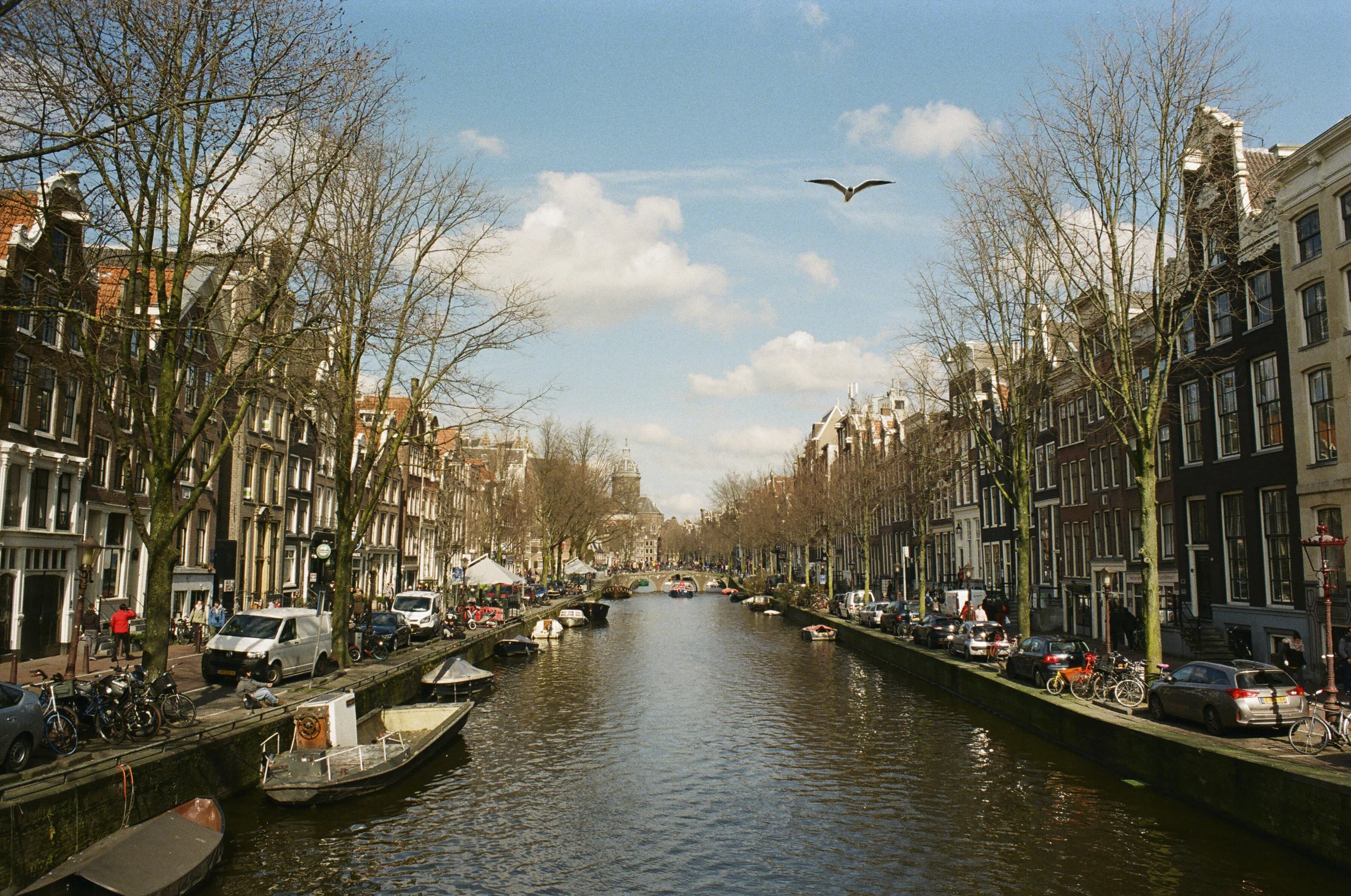 43480014 2.JPG